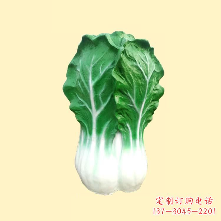 荆州白菜智能投影仪——让你的生活更加精彩