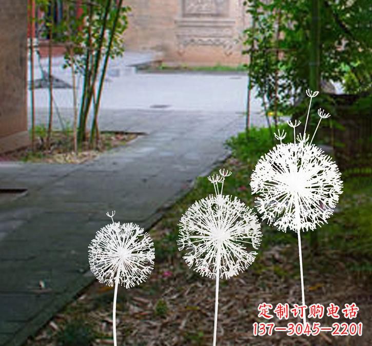 荆州不锈钢蒲公英点亮城市之美