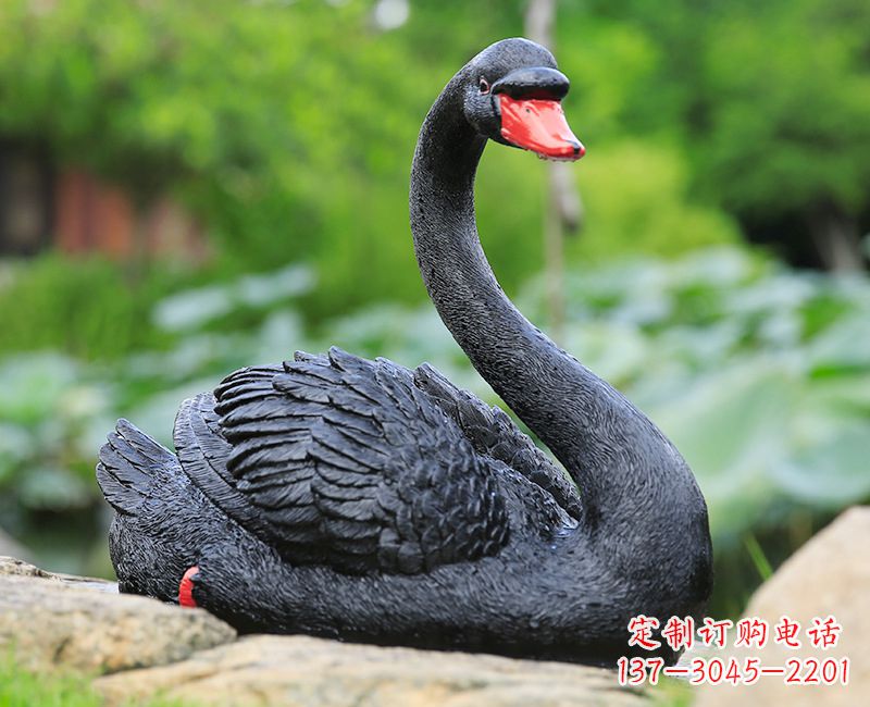 荆州黑色天鹅卧姿雕塑-园林水景动物摆件