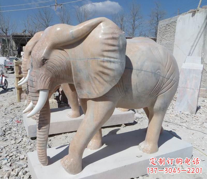荆州晚霞红卷鼻大象